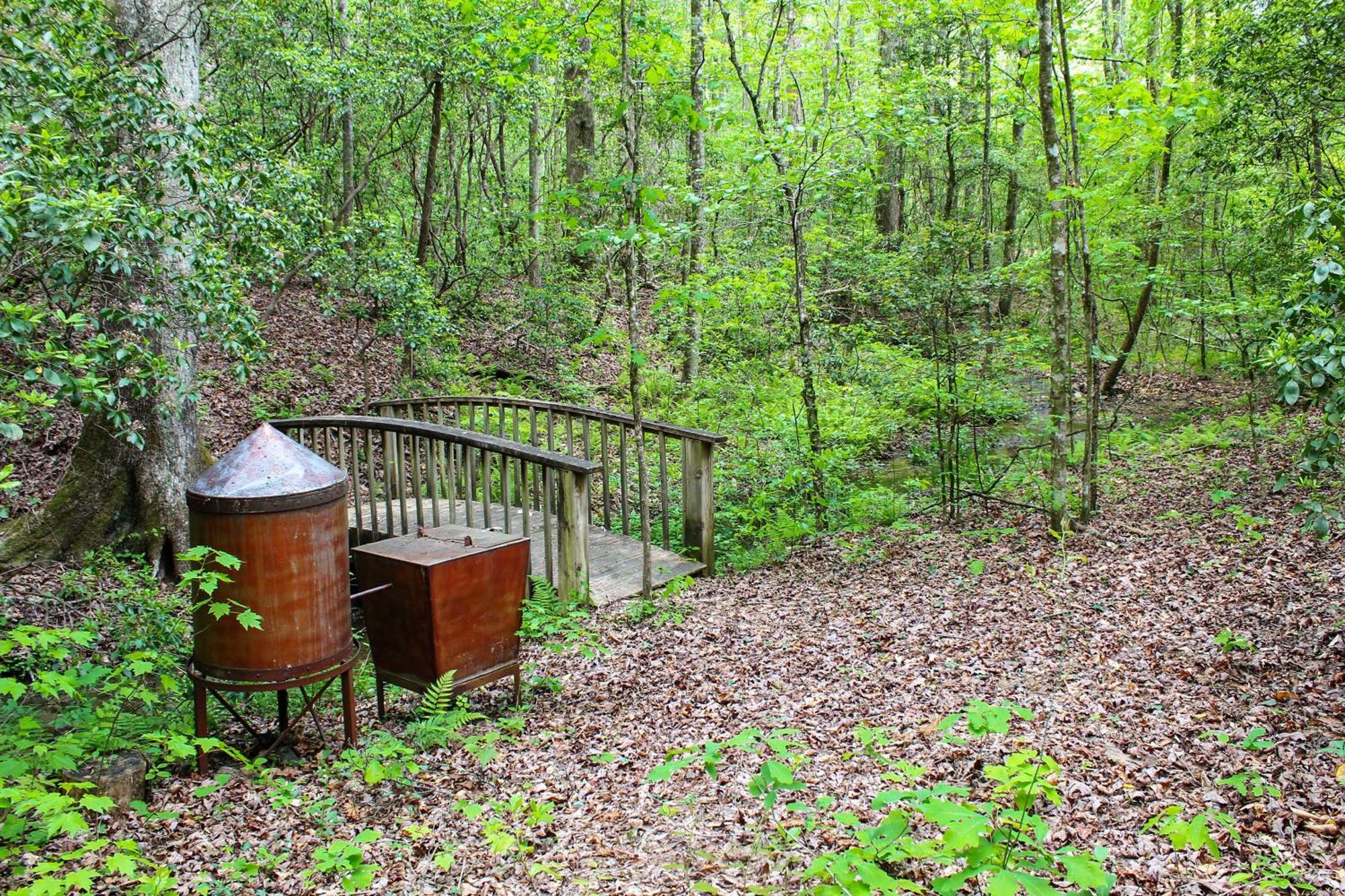 Sautee Nacoochee Mtn Paradise With Spacious Deck! Екстериор снимка